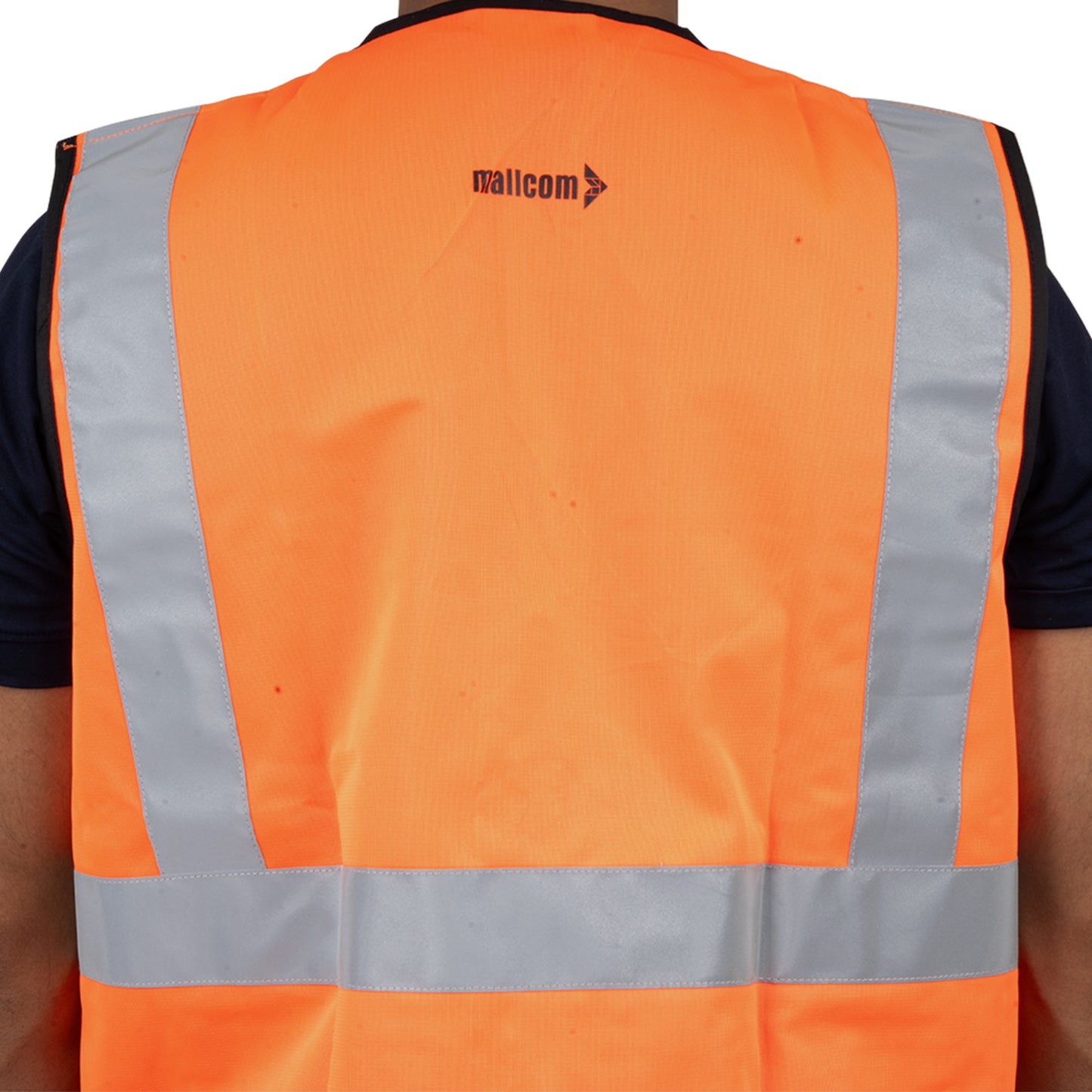 Proclo M383